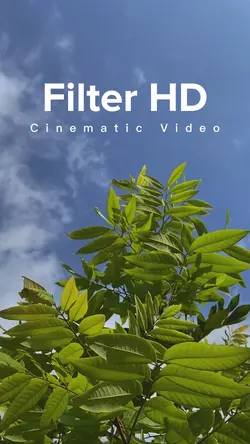 Cinematic HD