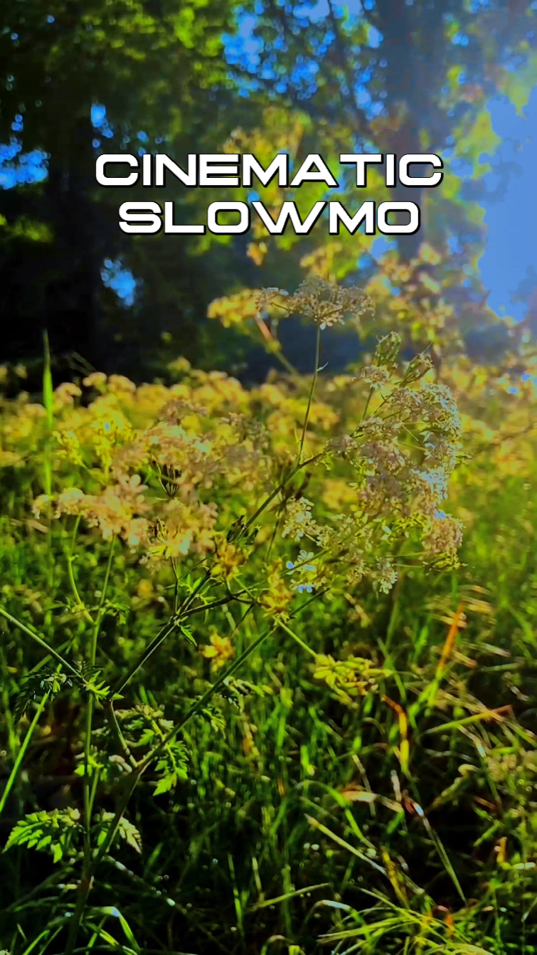 SLOW MO