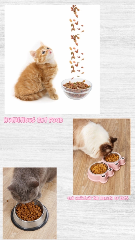 Promoción de comida para gatos