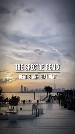 The Spectre remix