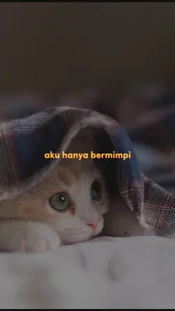 Hanya bermimpi