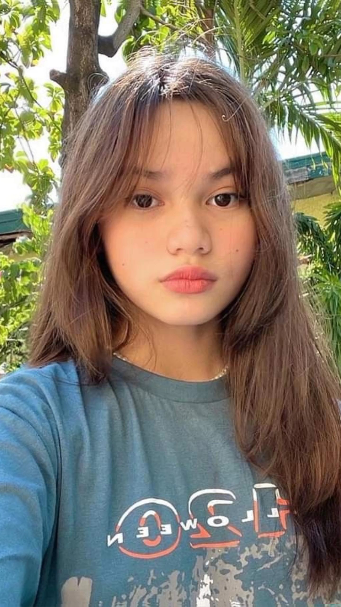 SHORTHAIRFILTER