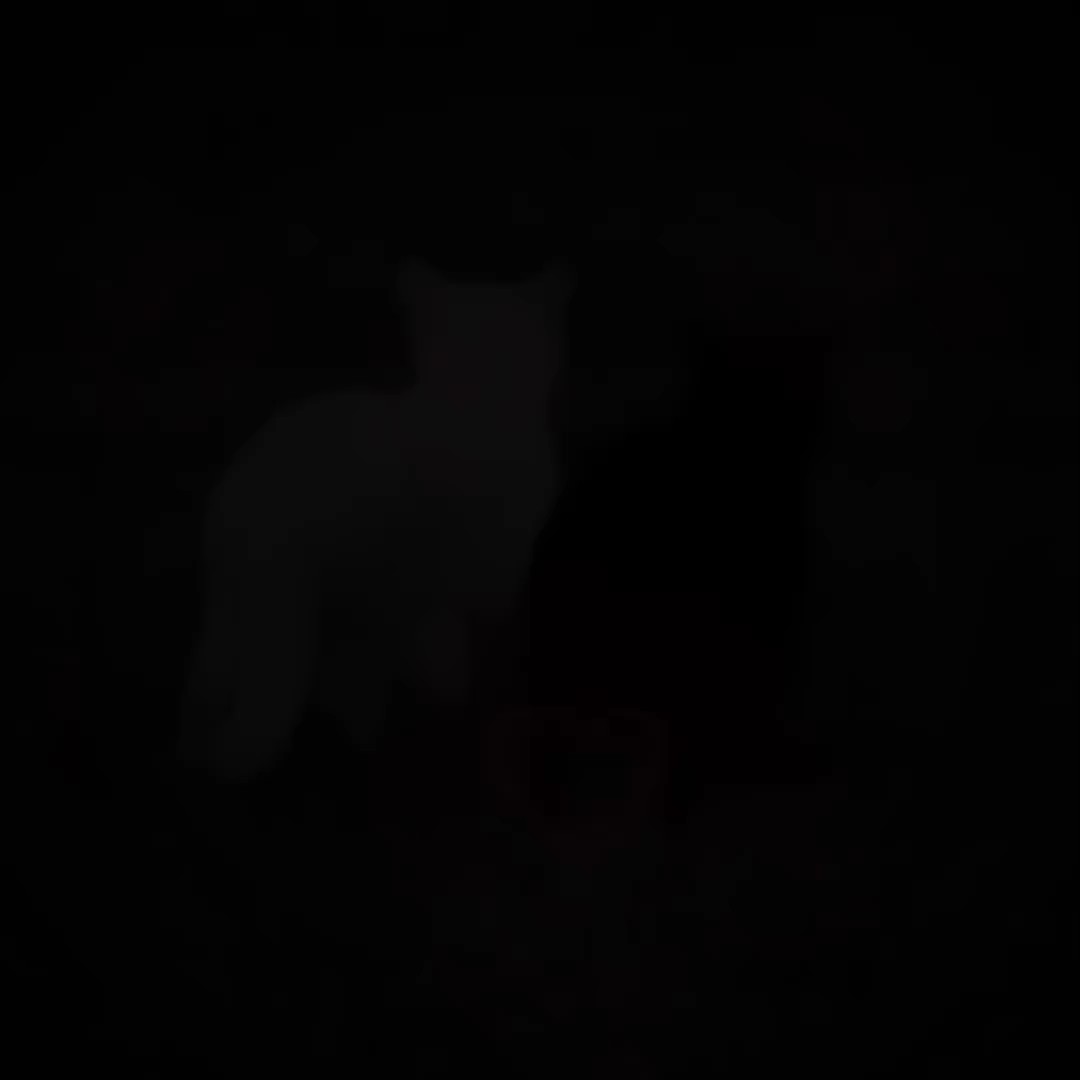 seni düşünüyorum
