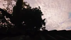 vlog atas genteng