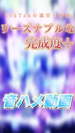 新リーズナブルな完成度+