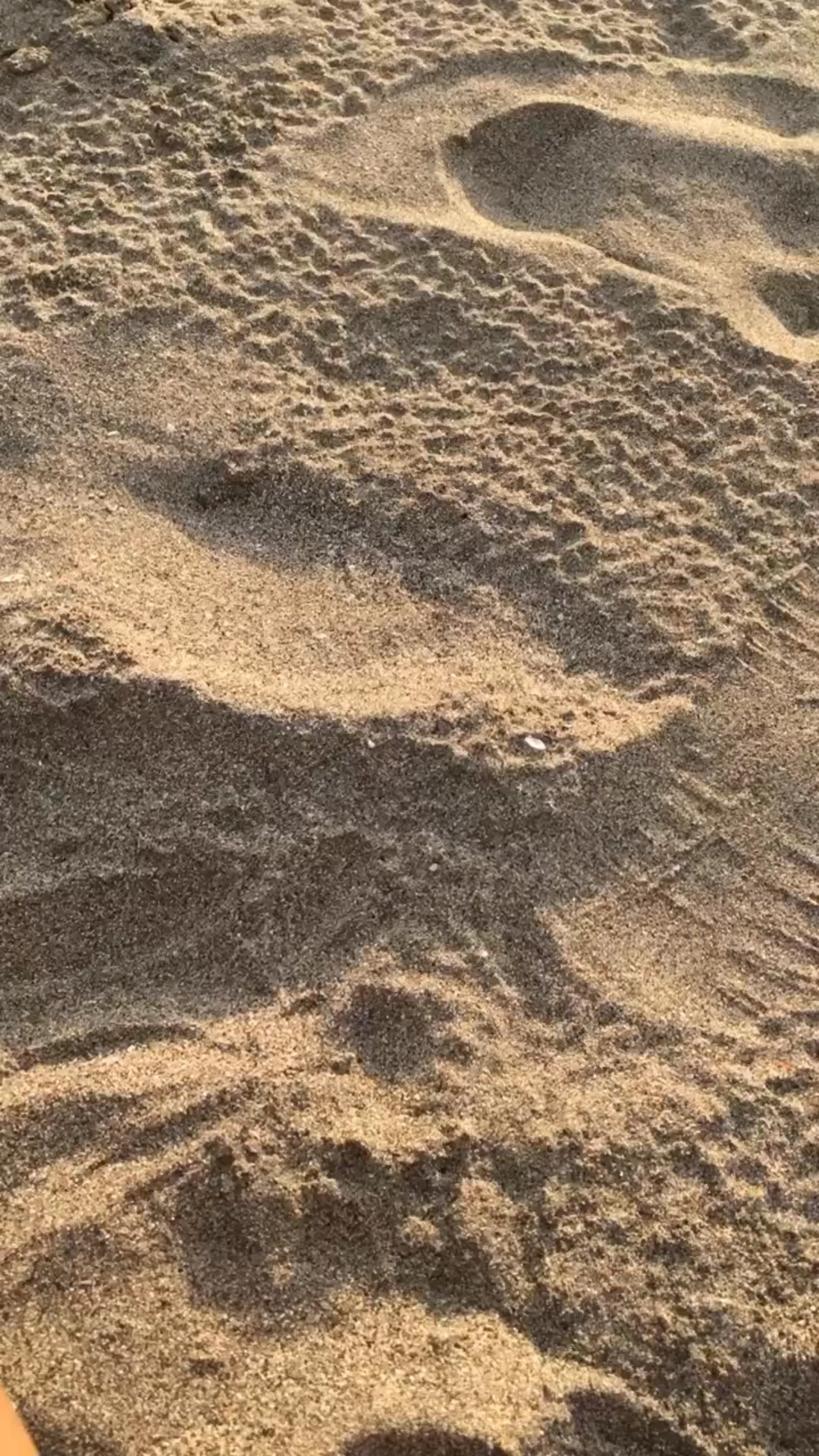 1 video 4 fotos 