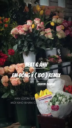 Beat 6 ảnh 