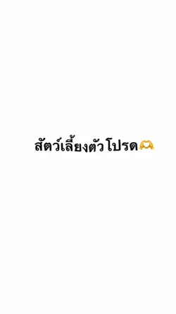 สัตว์เลี้ยงตัวโปรด🫶
