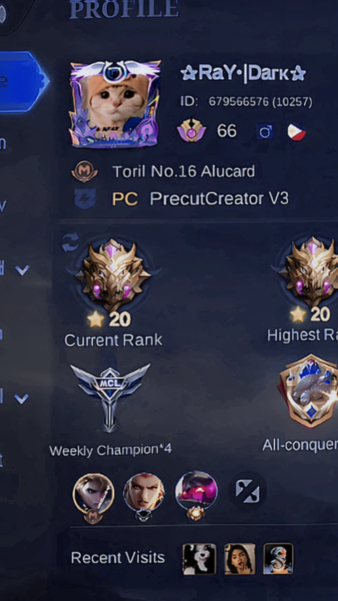 Perfil de la MLBB 