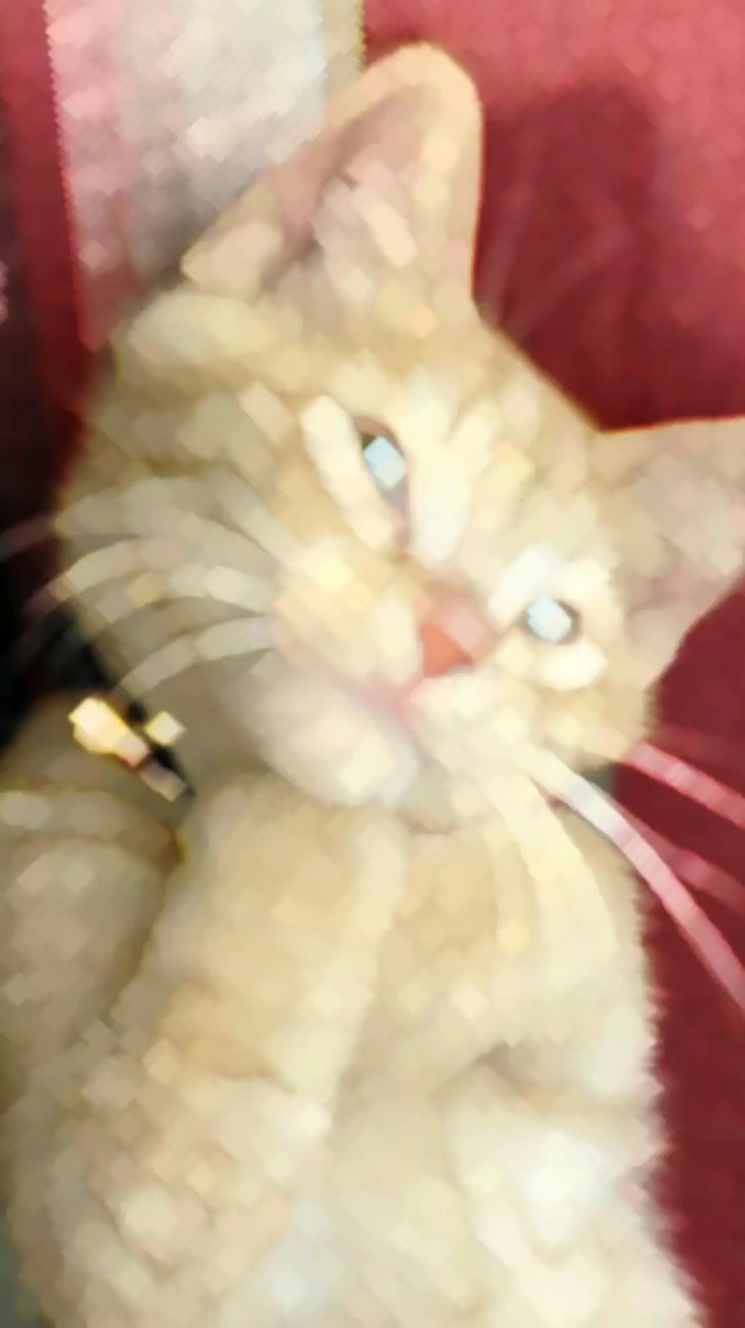 Laser eyes