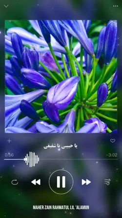 Estetik Nasheed