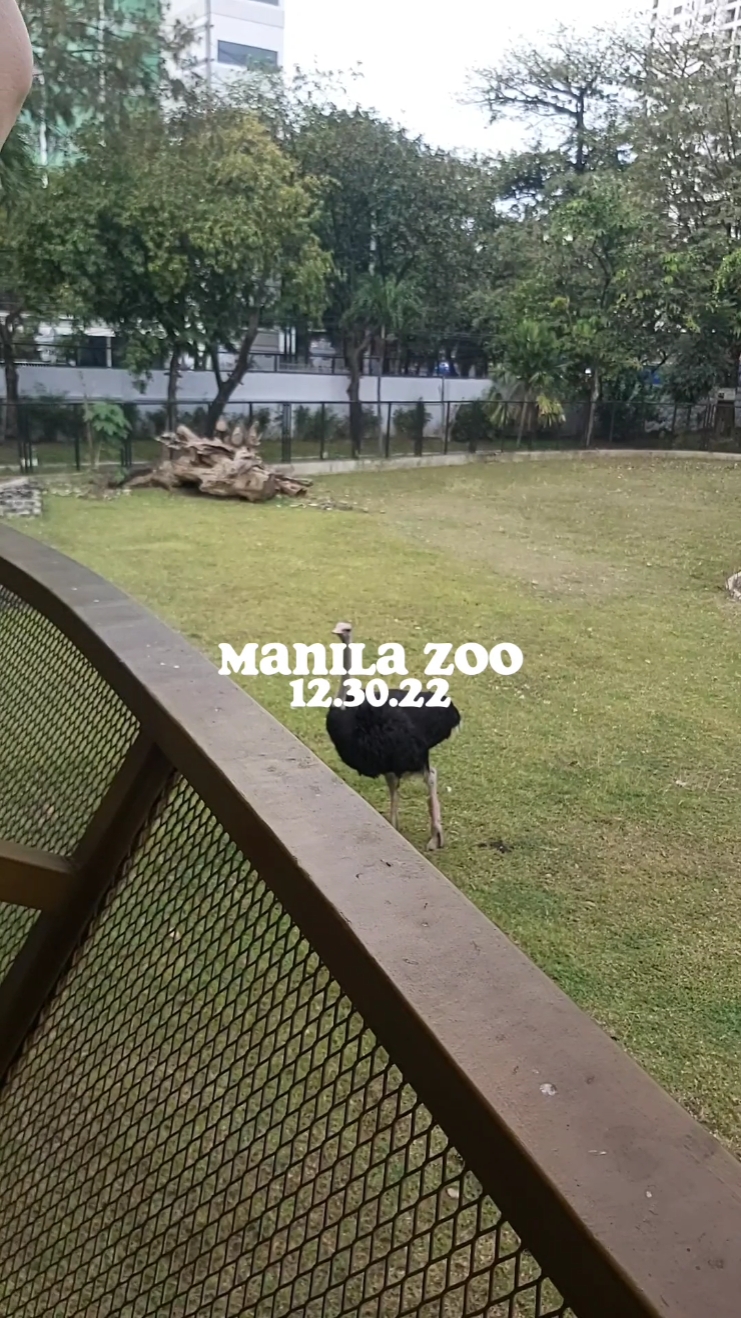 Zoo de Manille