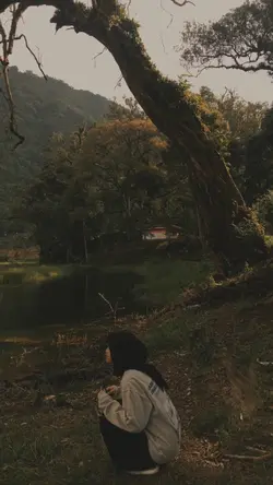 Filter estetik 