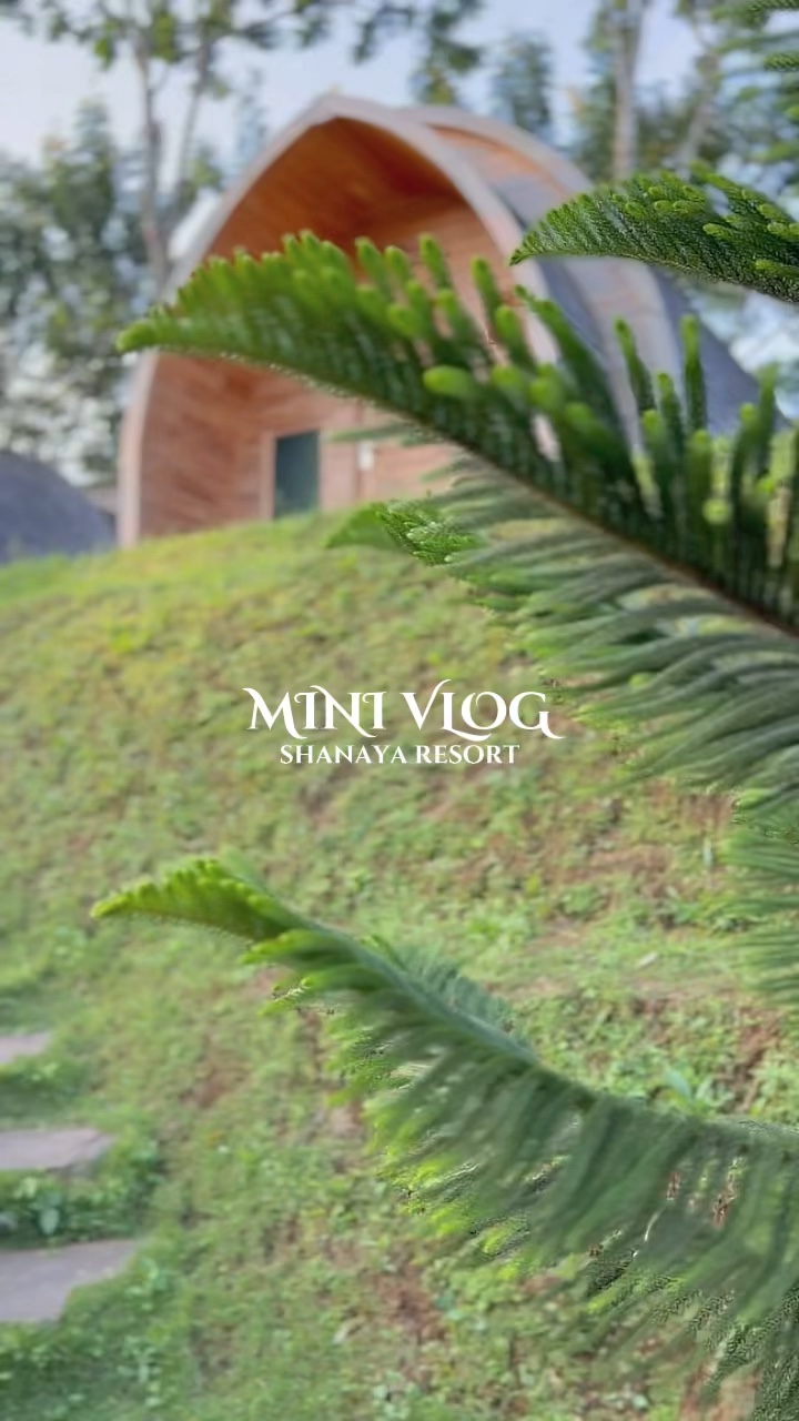 VLOG MINI 