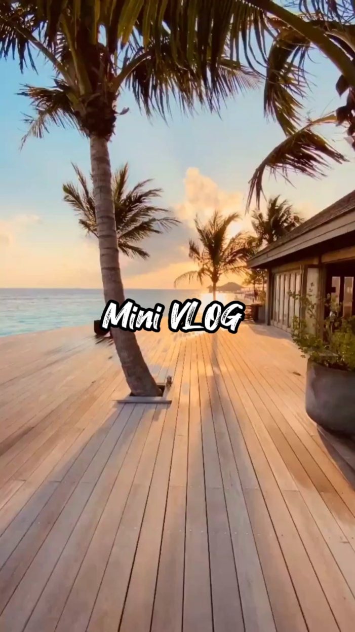 VLOG STORY 23.01
