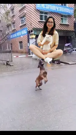 Trend bựa🤣🤣