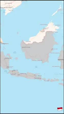LDR VersiTravelBoast