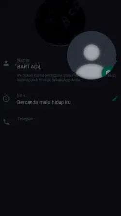 Spill WhatsApp