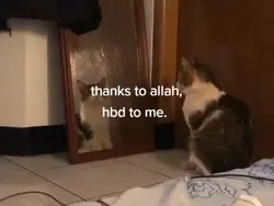 story
