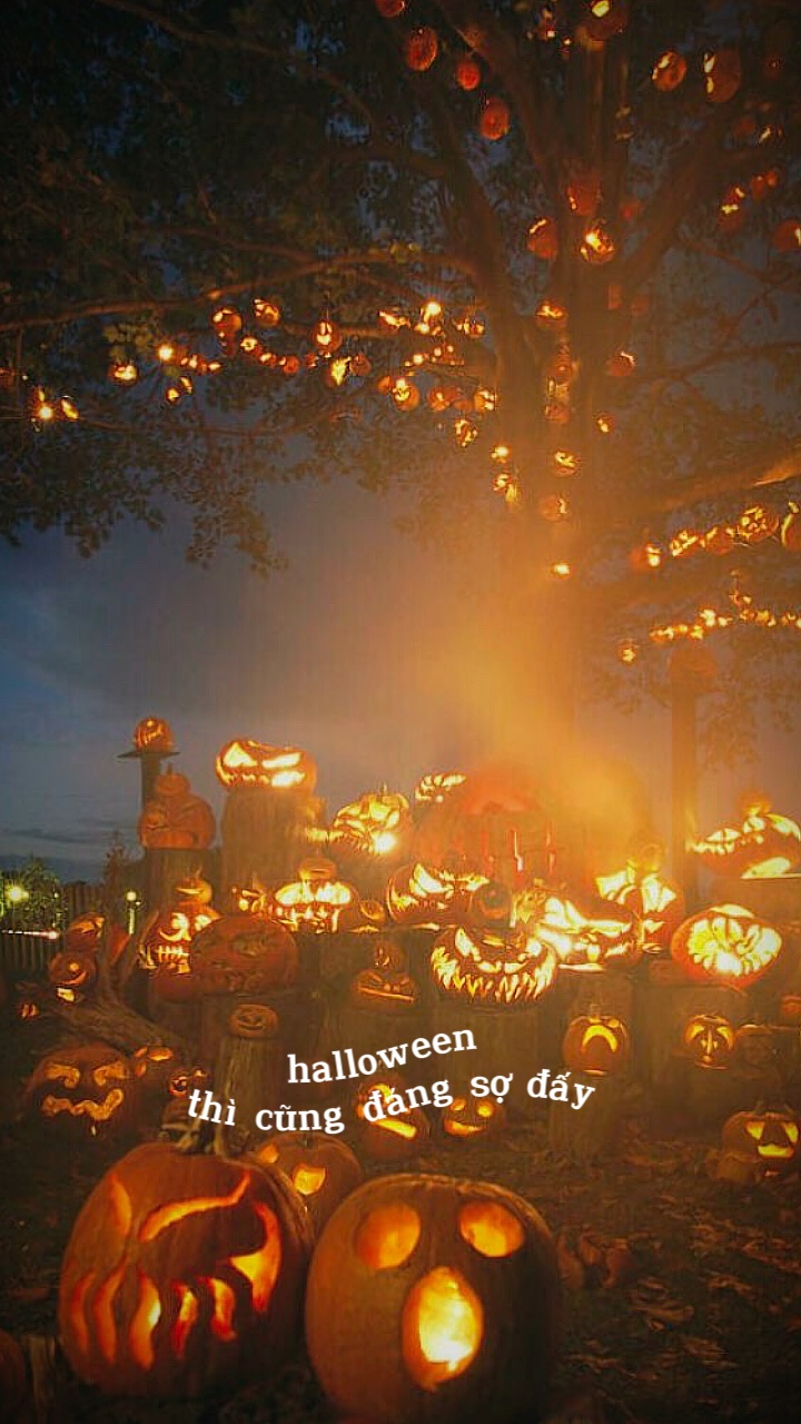 halloween 3 ảnh 