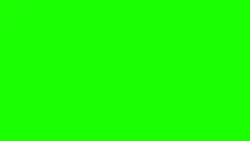 Green screen overlay