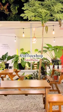 Cafe Video