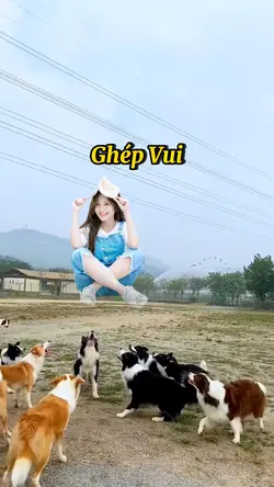 Ghép Hài Hước