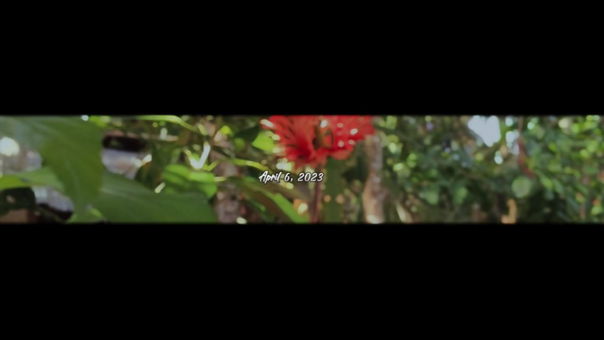 Flores 