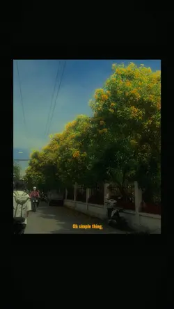 Mẫu giả film 1 vid