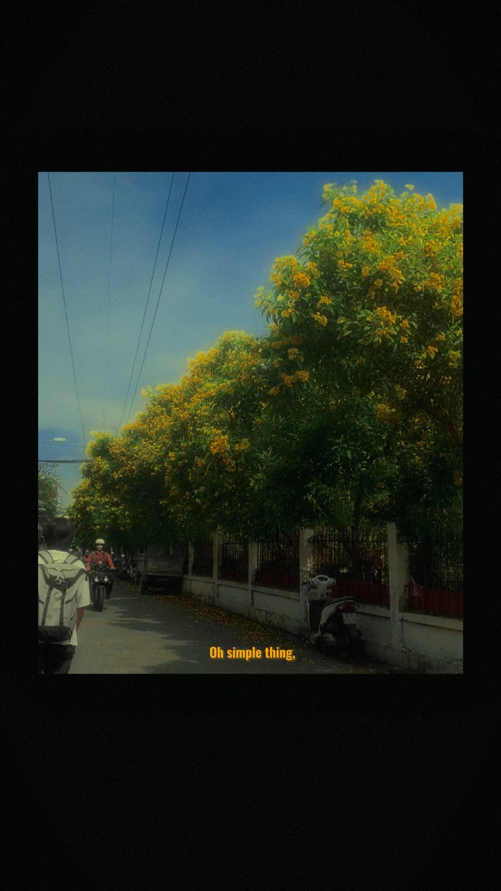Mẫu giả film 1 vid