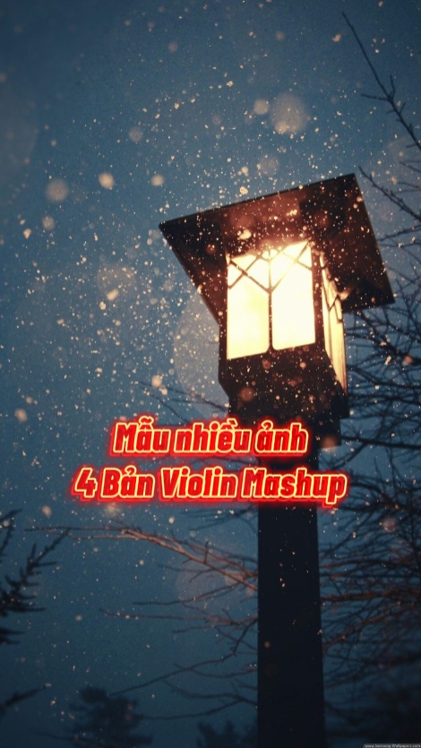 Mẫu Violin Nhiều Ảnh