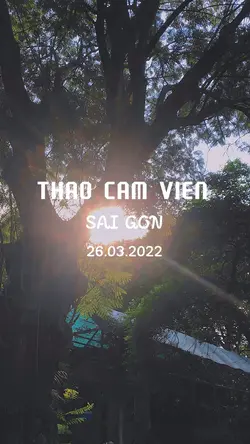 VLOG XINH ❤️