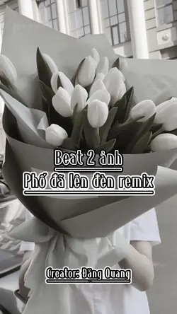 Beat 2 ảnh