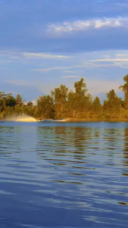 Yasirlana