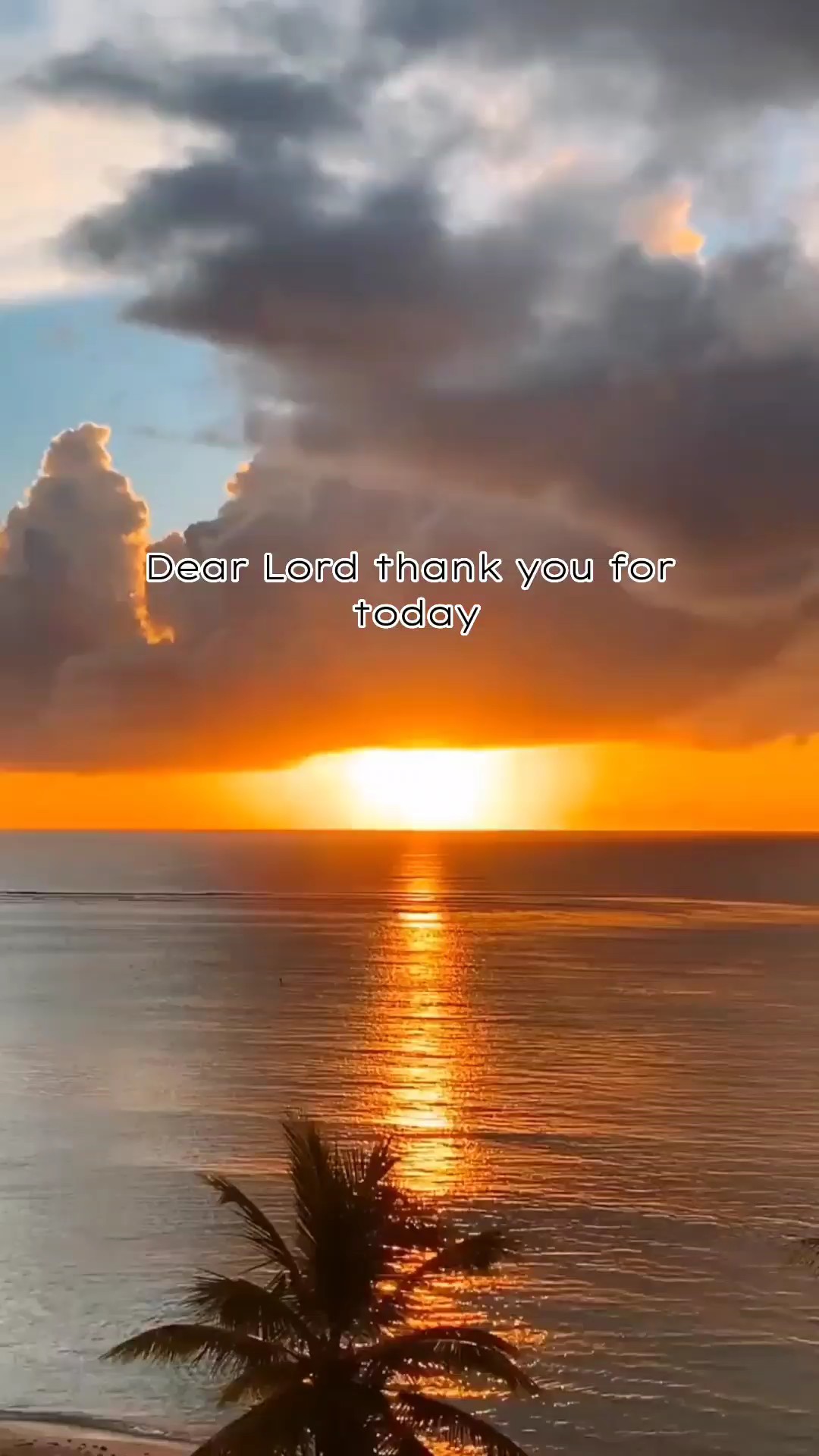 SEIGNEUR MERCI 