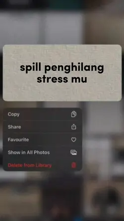 versi voli