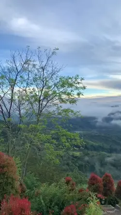 pagi yg cerah