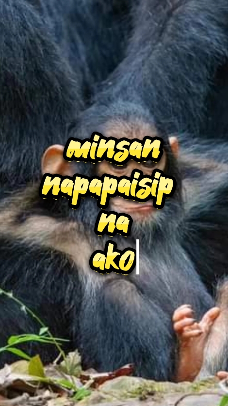napapaisip ako