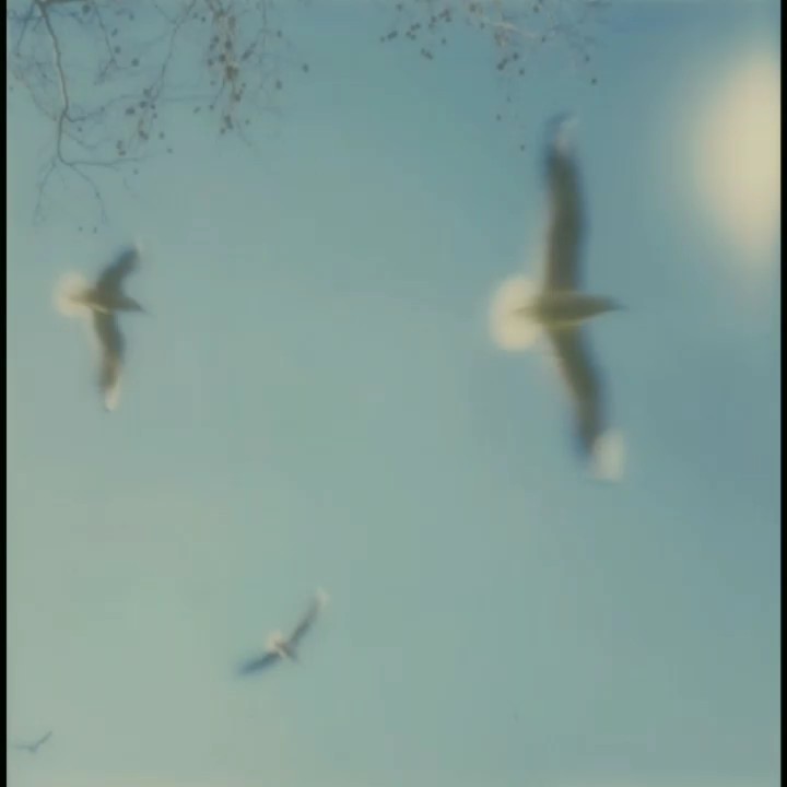 dream filter