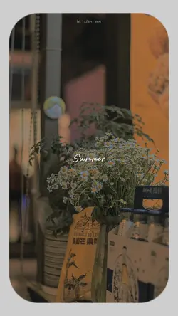 vlog + màu