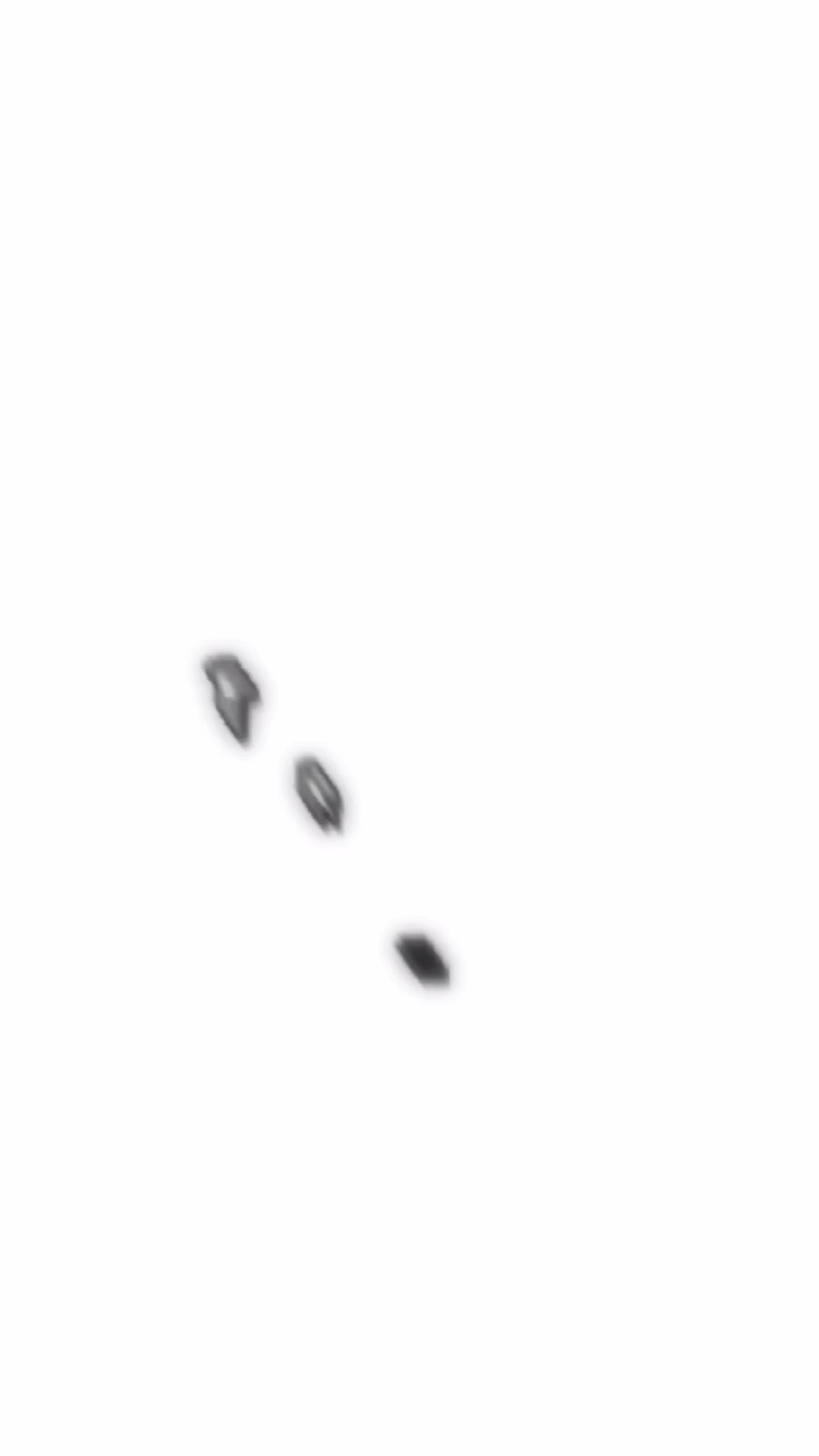 viral tiktok