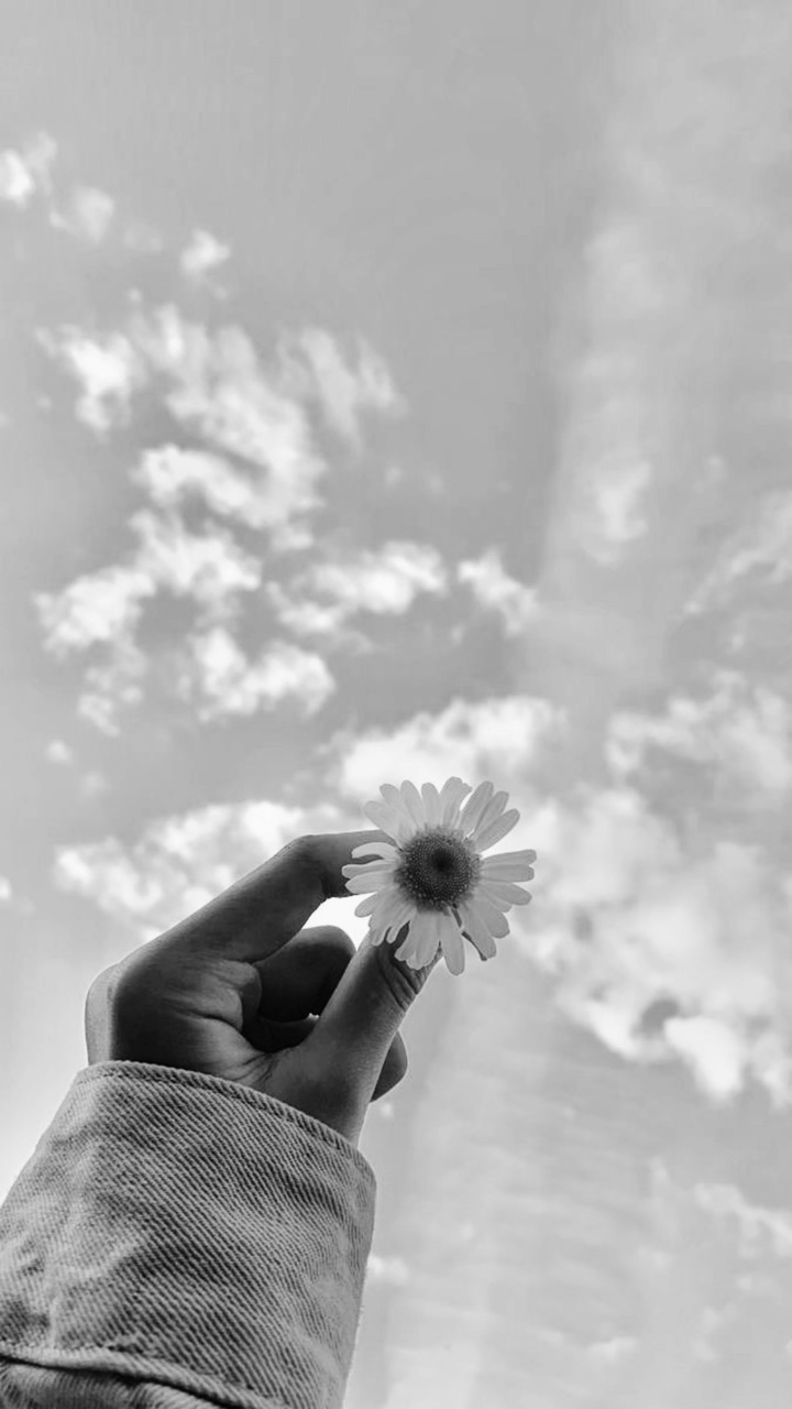 B&W to Colors