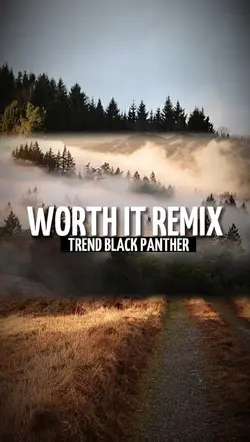 Worth it remix