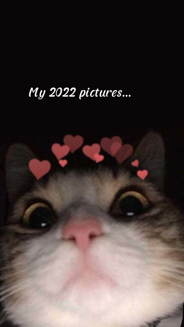 #My2022 사진