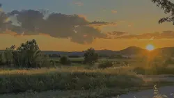 lirikaesthetic