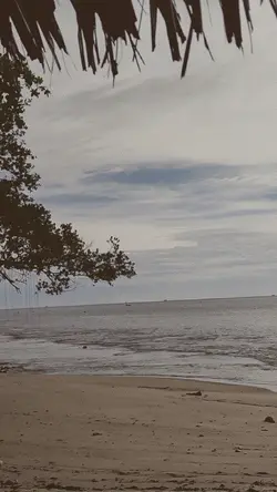 2 video
