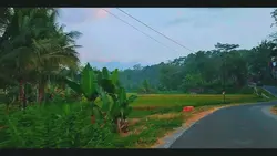 vlog jalan