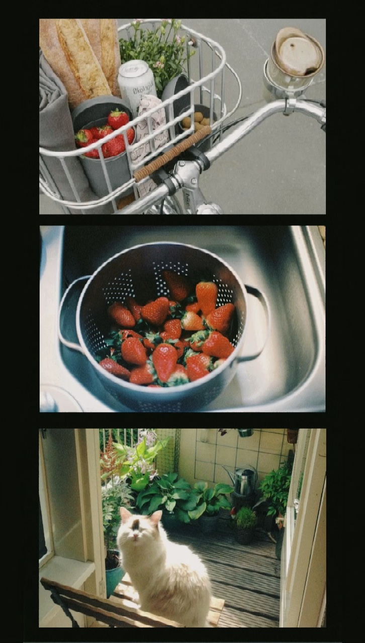 3 ảnh + film