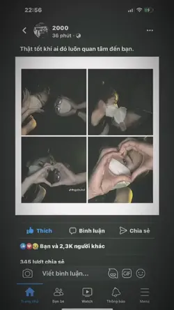 1 ảnh lấy vd