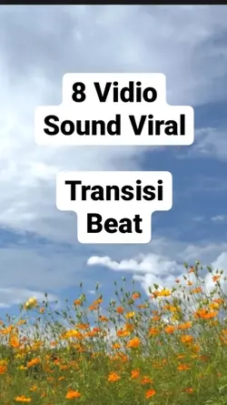 8 Vidio